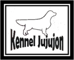 kennel_kehyksell.png